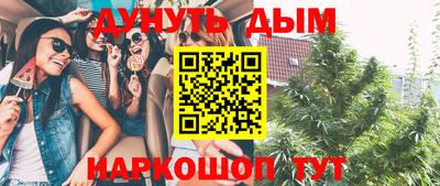 шишки Кинель