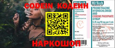стаф Кингисепп