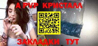 стаф Кингисепп