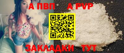 стаф Кингисепп