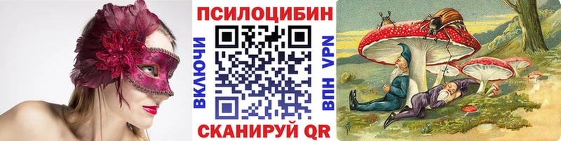 omg ONION  Нижневартовск  Псилоцибиновые грибы MAGIC MUSHROOMS 