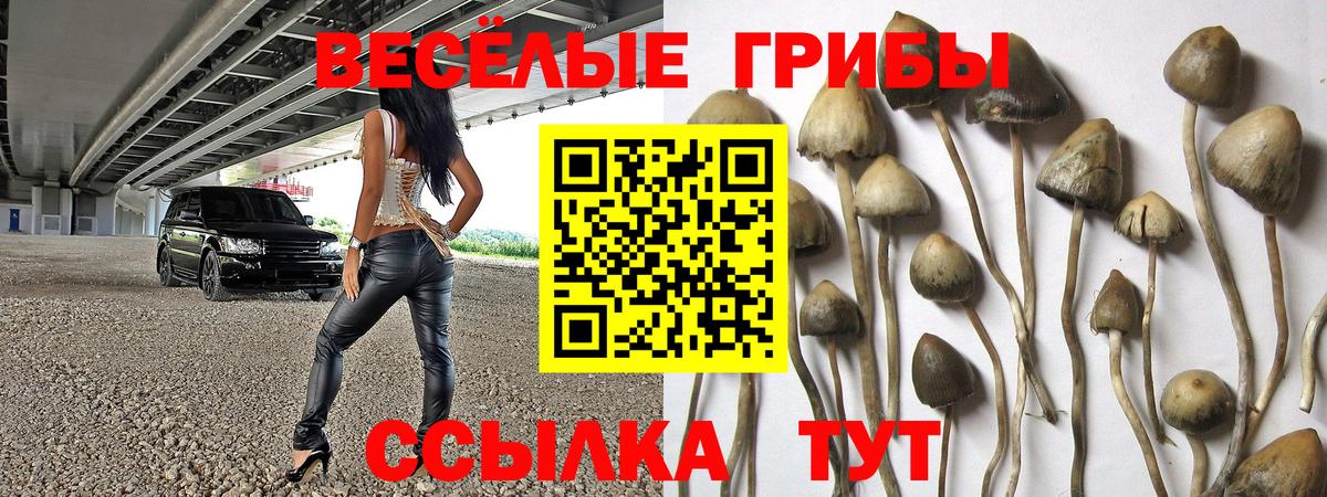 ГАШ Нижневартовск