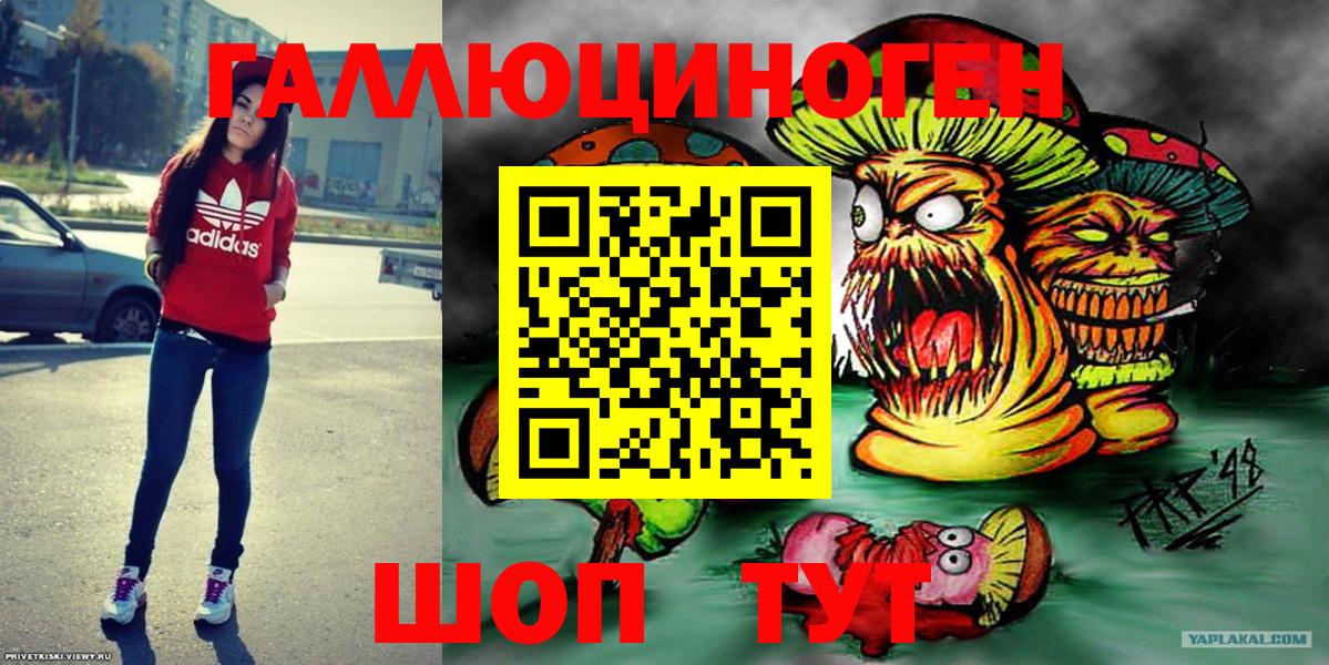 Галлюциногенные грибы Psilocybe Нижневартовск